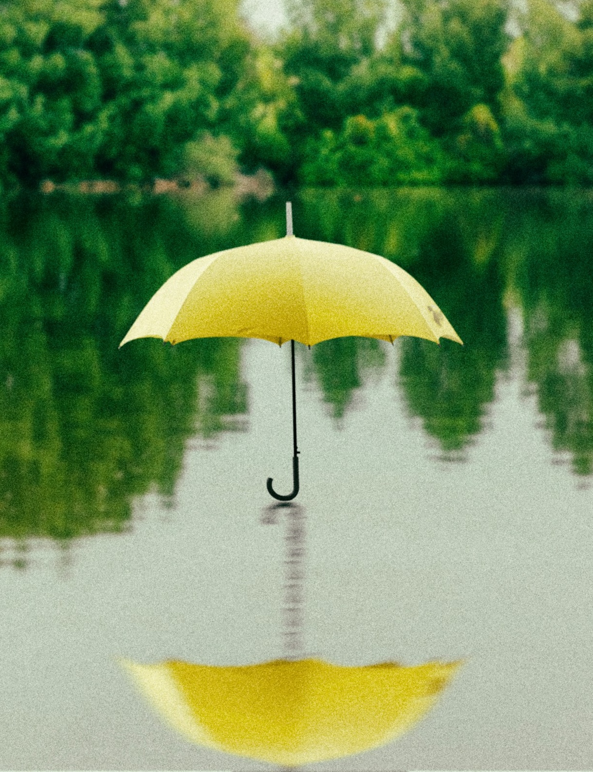 saffu bmtg7lrcry4 unsplash